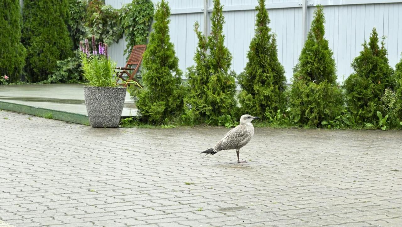 Tallinn Apartments K8 Free Parking Екстериор снимка